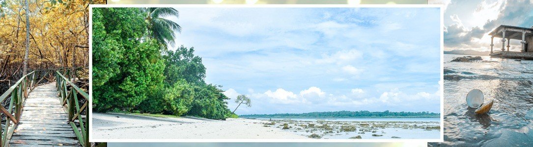 Goa sightseeing tour