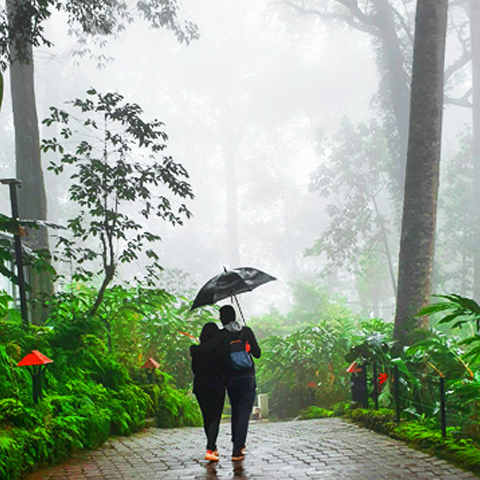 Kerala