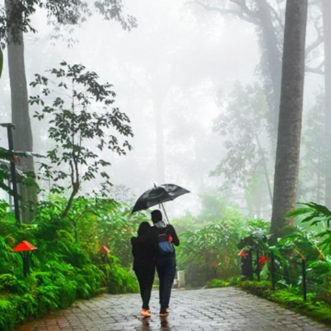 Kerala Tour Package – 6 Nights / 7 Days
